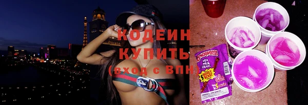 прущий лед Арсеньев