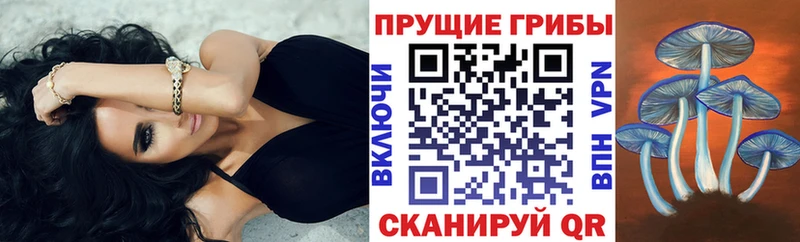 Галлюциногенные грибы MAGIC MUSHROOMS  hydra зеркало  Теберда 